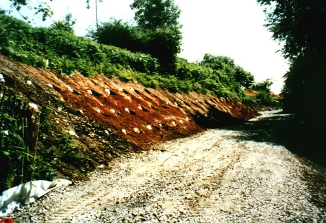 Avon Cycleway (1).jpg