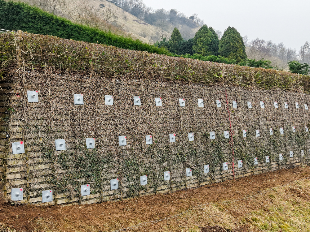 Gloustershire Retaining Wall.png