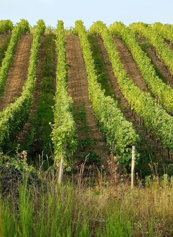 Horticulture & Agriculture