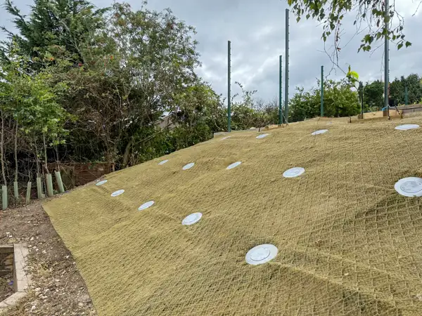 Vale School 6.jpg