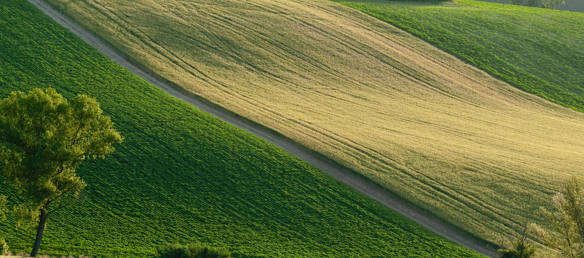 Slope stabilisation.png