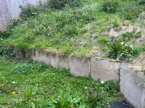 Watling Close 3.jpg