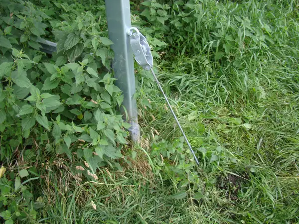 BLACK BUSH SOLAR FARM (1).JPG