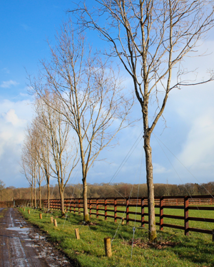 Horticulture & Agriculture