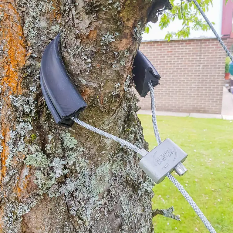 Improved Protection for Tree Root Balls