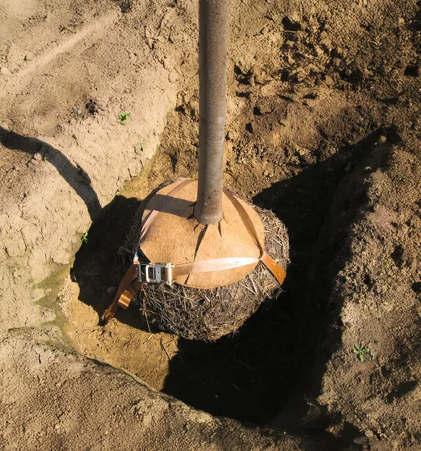 Why Use Vulcan Earth Anchors?