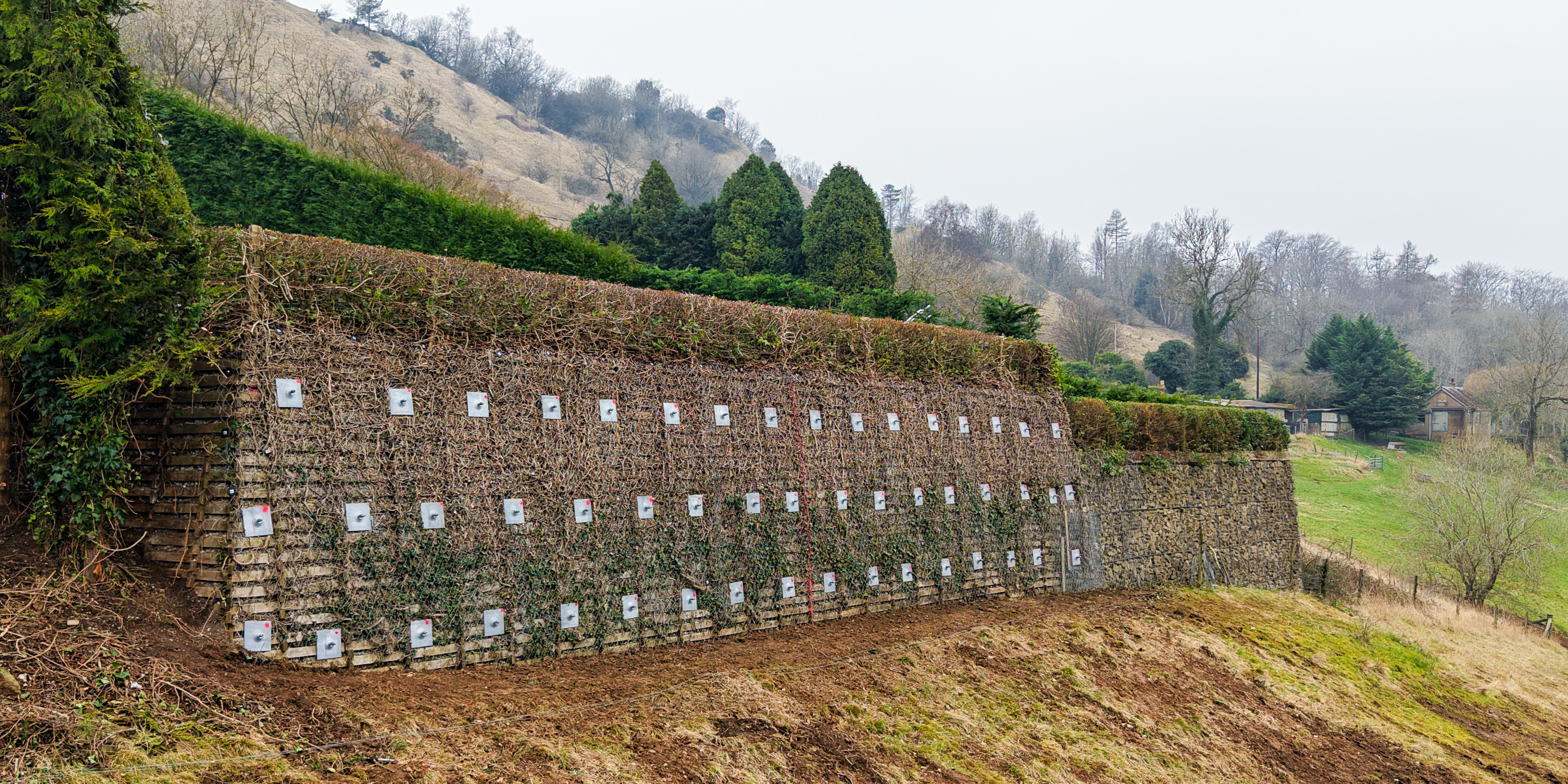 Vulcan Earth Anchor (6).png