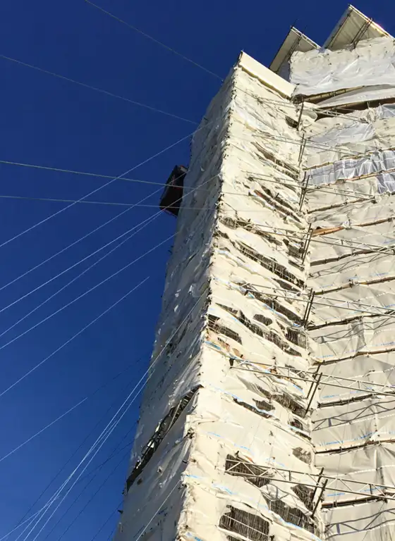 Scaffold Anchor