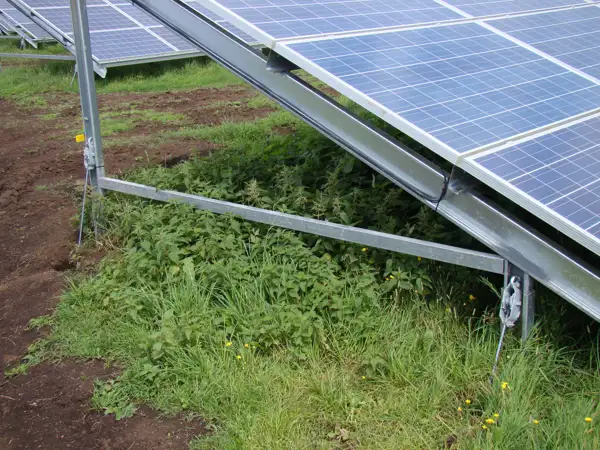 BLACK BUSH SOLAR FARM (4).JPG