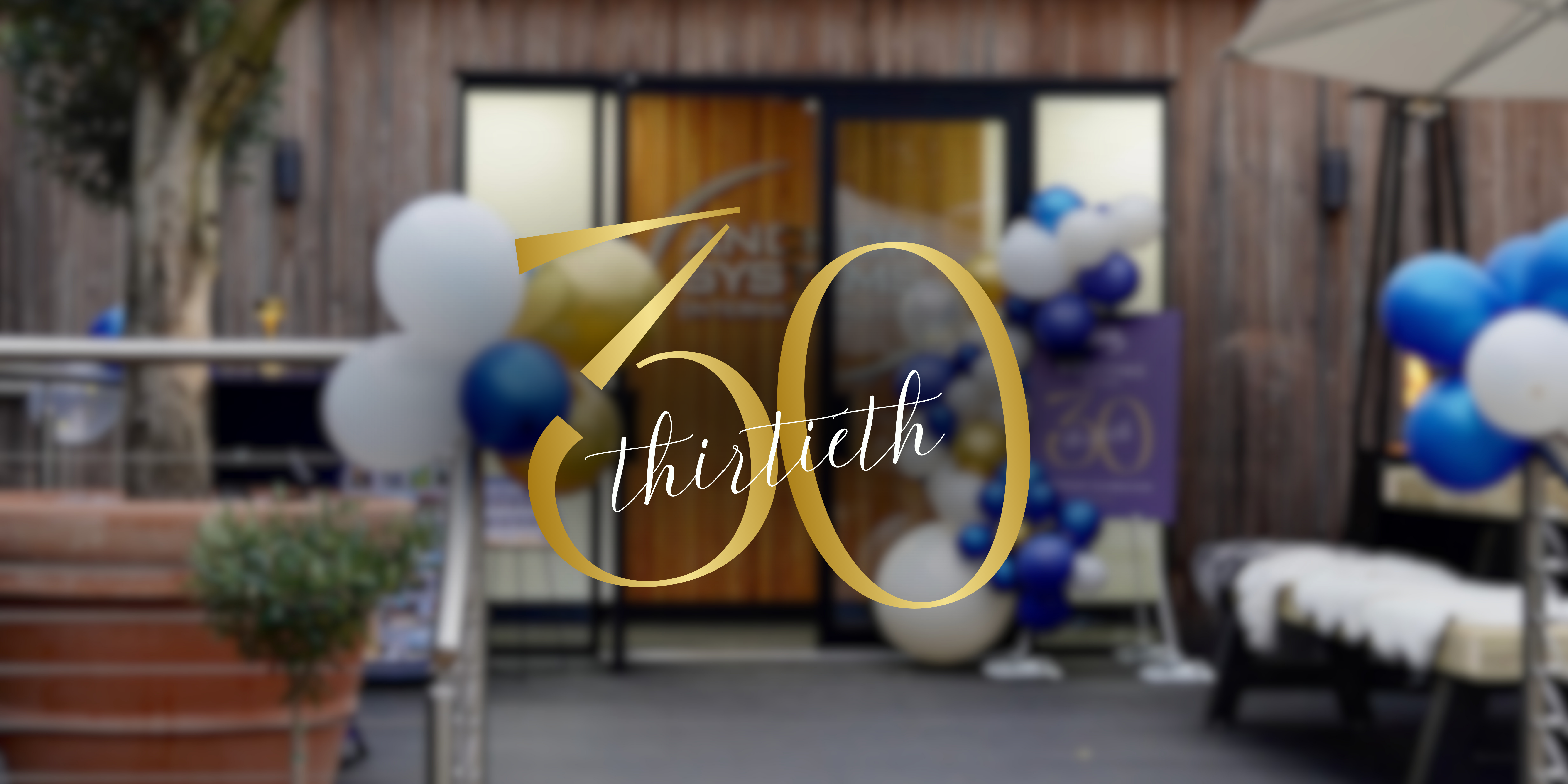 Celebrating 30 Years of Anchor Systems