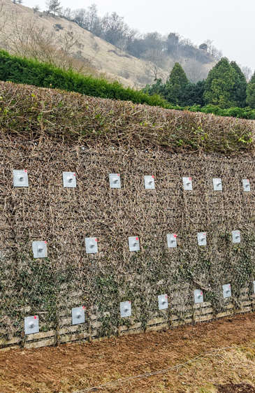 Gloucestershire Retaining Wall Stabilisation