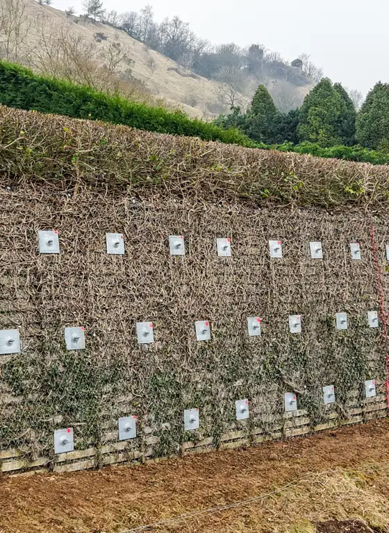 Gloucestershire Retaining Wall Stabilisation