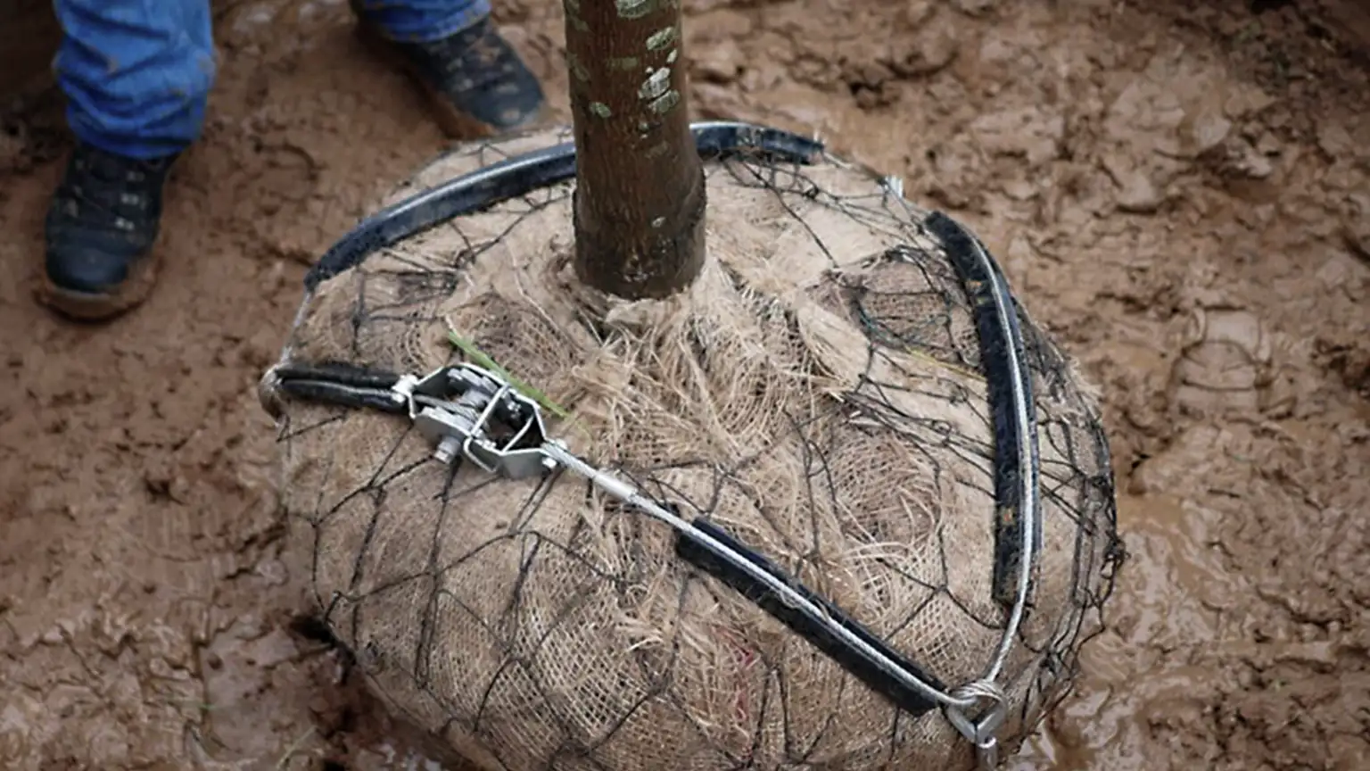 Tree Kits.jpg