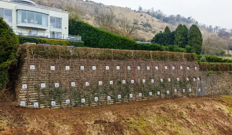 Retaining Walls (8).png