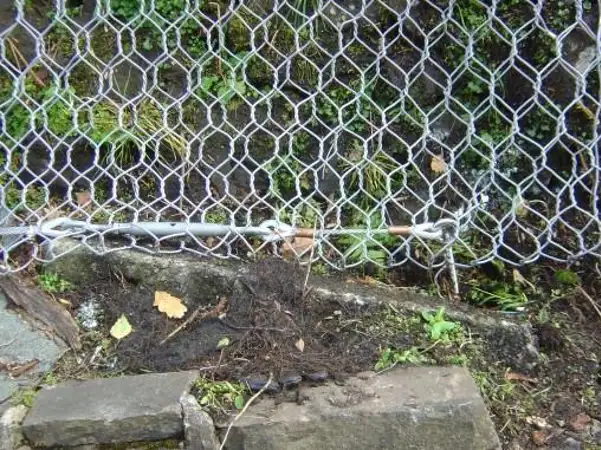 Newport to Ebbw Vale Railway 3.jpg