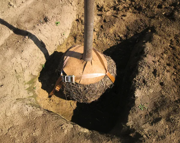 Key Features & Benefits