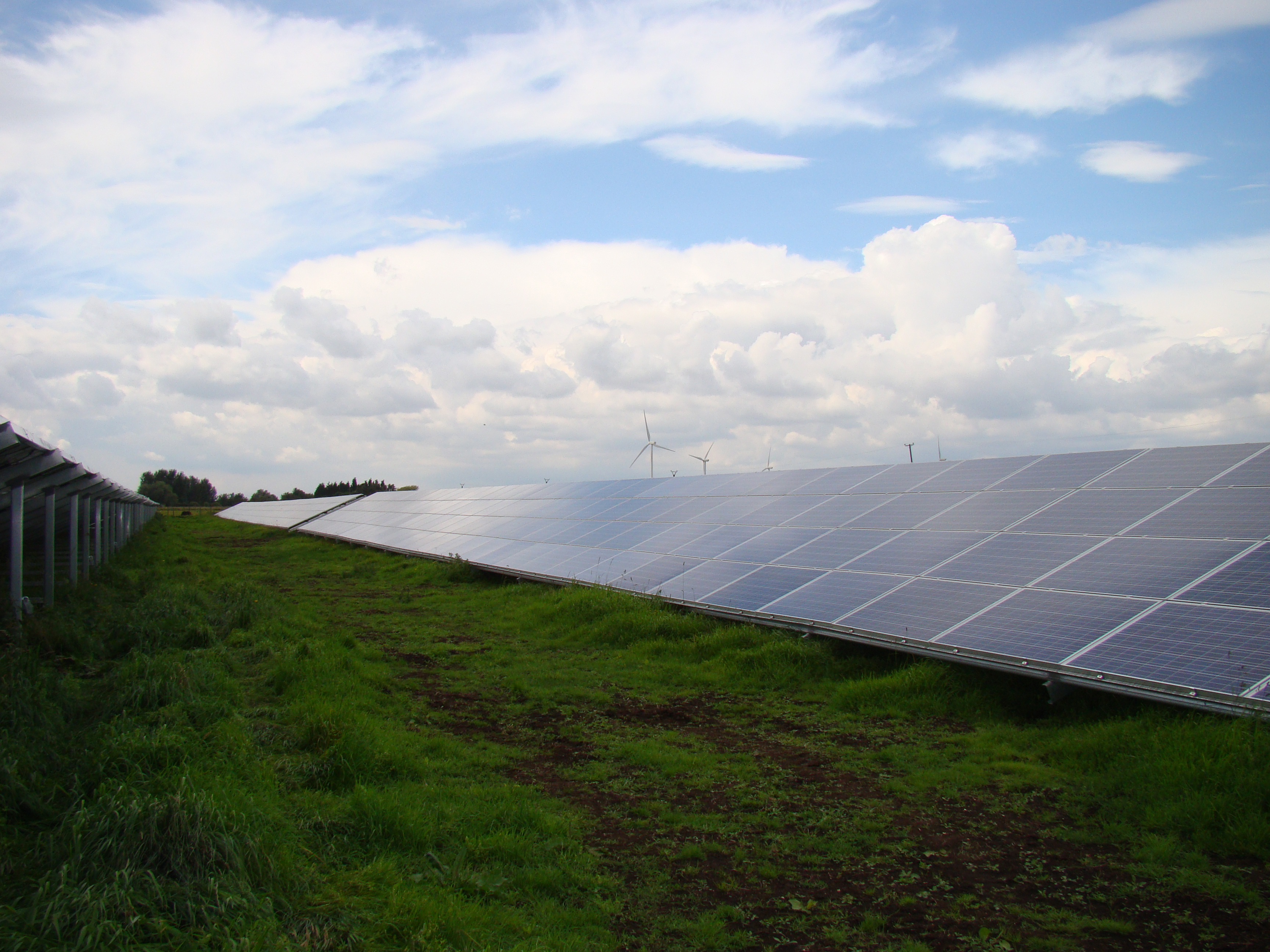 Black Bush – Solar Farm