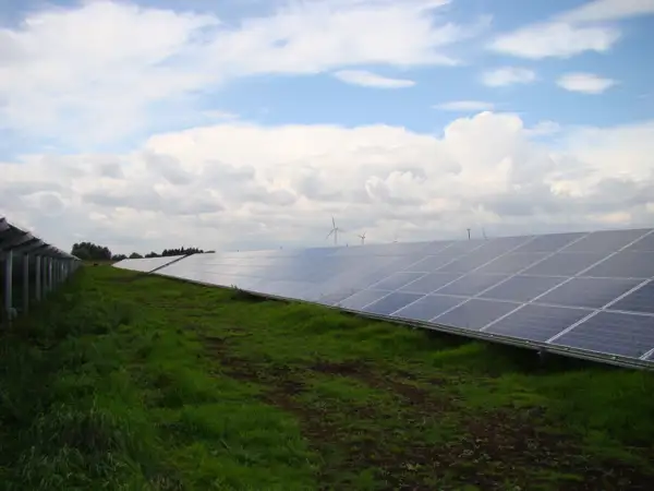 BLACK BUSH SOLAR FARM (2).JPG