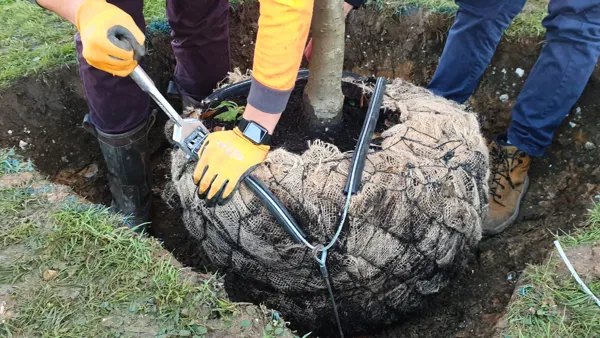 Installation & Usability