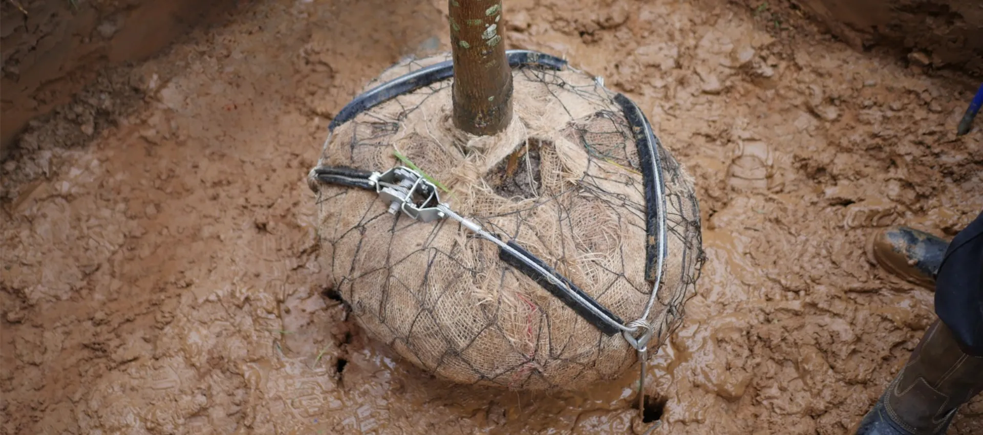 Tree Kits (1).png (1)